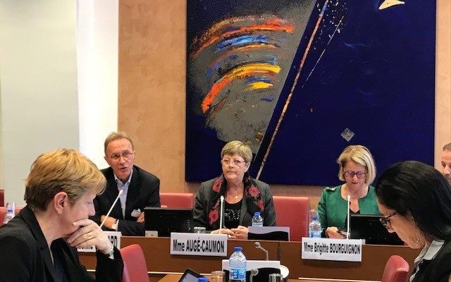 AUDITIONS CO-RAPPORTEURS AVIS CESE