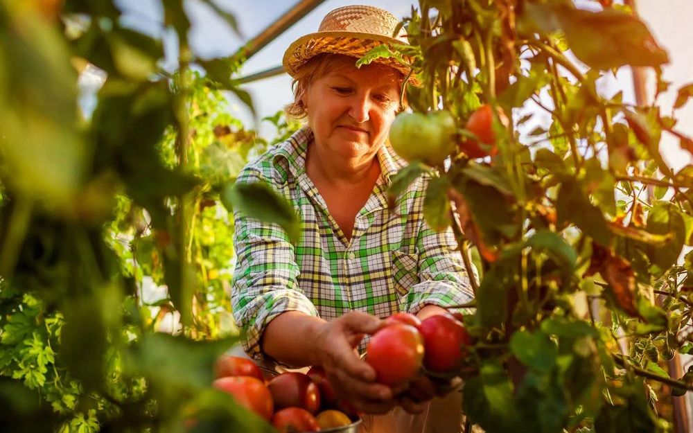 REVALORISATION DES RETRAITES AGRICOLES